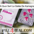 À Quoi Sert La Gelée De Kamagra 32